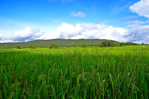 Travel Destinations In India