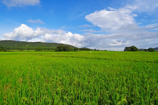 Preferred Destinations for India Luxury Travel