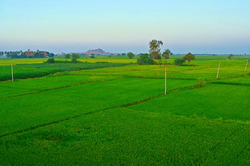 Enjoy Enchanting South India Attractions on South India Tour