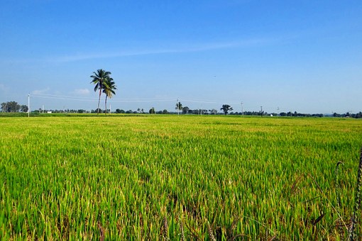 Experience the Infinite Cultures with India Holiday Packages