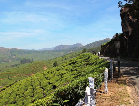 South India Travel Packages- Ultimate Options For Visitors