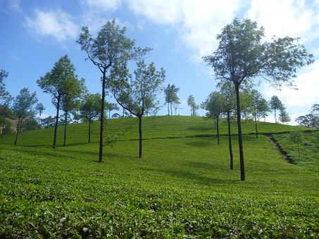 The Top Attractions To Visit On Goa Trip