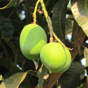 Close Encounters and Summer in India