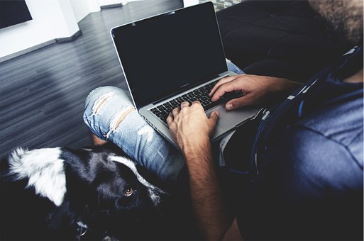 Online Public Records