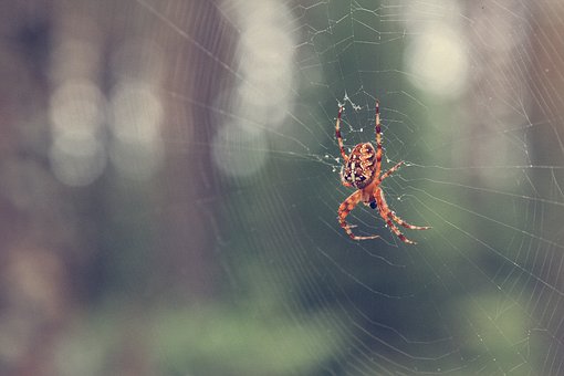 4 Great Article Marketing Submission Sites
