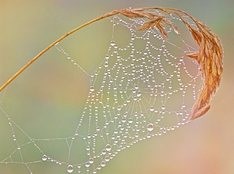 Importance Of Online Reputation Management