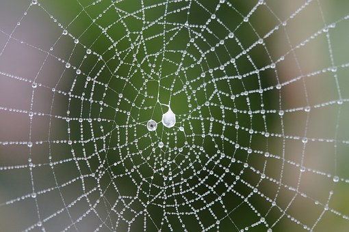 Is Drupal Suitable For Online Branding
