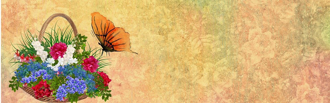 10 Tips for Success Online
