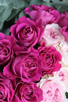 Cute Mothers Day Cards Online