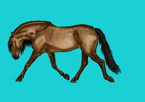 What Is Online Auctioning?