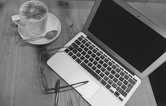 Finding A Reliable Bin Checker Online