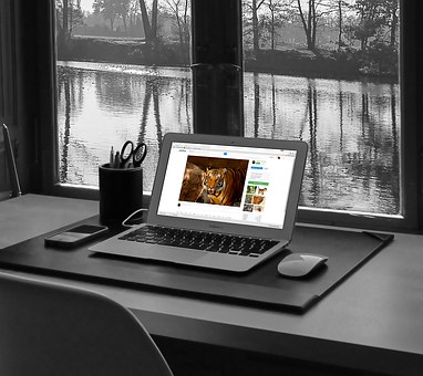 Online Conferencing: The Future Of Communication Across The Globe