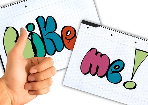 Revision Guides Online