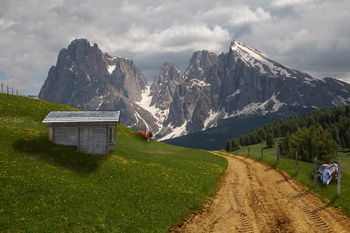 Plan Your Holidays With Swiss Tours