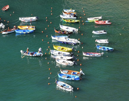 The American 2010