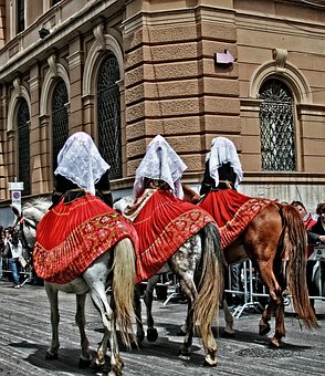 Seeing Rome in Two Days by:Paolo Pedica