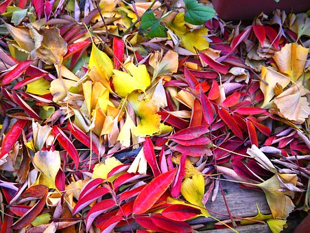 Travel To Bali For Your Next Holiday