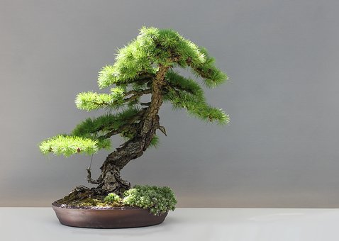 Setting up a Journey to Japan - Ideas Before Travelling to Japan