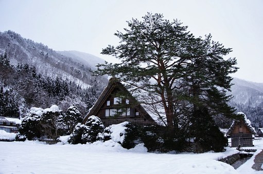 Excellent Tips Pertaining To Kyoto, Japan Hotels : Pricing Amenities Proximity To Tourist Attraction
