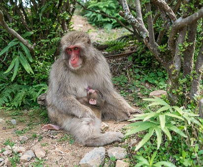 Facts About Taiwan
