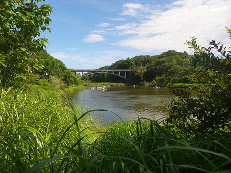 Beneficial Guides Referring To Landmarks For Amazing Memphis, Tennessee Travels