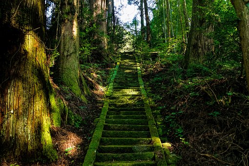 Useful Suggestions Pertaining To Kyoto Hotels : Hotel Expenses Amenities Proximity To Tourist Attrac