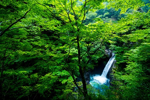 Excellent Tips Pertaining To Kyoto, Japan Hotels : Pricing Amenities Proximity To Tourist Attraction