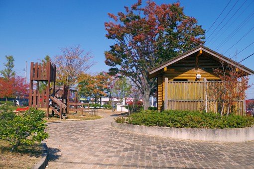 Travel Points As Well As Bonus Offers Combined With Amazing Stays While Enjoying Your Excellent Delt