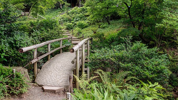 New Tips On Kyoto Hotels : Hotel Prices Services Offered Proximity To Tourist Attractions Eateries E