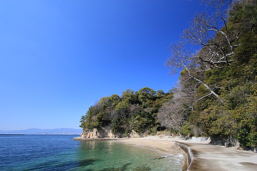 Low Priced Hotel Accommodations Plane Fare And Sightseeing For Extraordinary Holiday In The Tropical