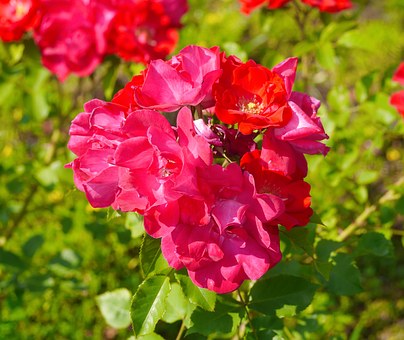 Exploring Perfect Honeymoon Destinations Thrilling Adventures Untamed Wilderness Hawaii's Big Island