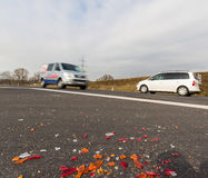 Directors and Officers Liability Insurance (D&O) - Lead with Peace of Mind
