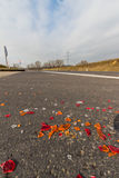 What Is Public Liability Insurance And Why Do I Need It?