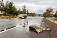 Hunters Liability Insurance Can Do You a Big Favor