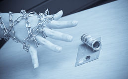 The Safety Offered By Professional Liability Insurance
