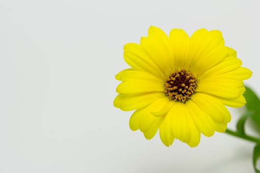 How To Deal With Autoimmune Disorders