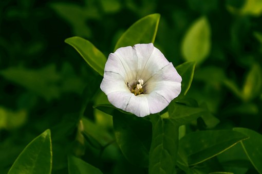 Yoga To Help Yeast Infections by:Christine Michaels