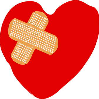 How to Find the Greatest Medicare Complement Insurance policies