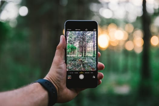 The dynamics of GoTronics iPhone Insurance company