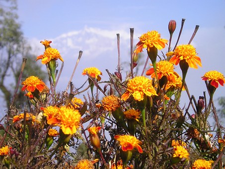 Guidelines for Nepal Trekking Tour