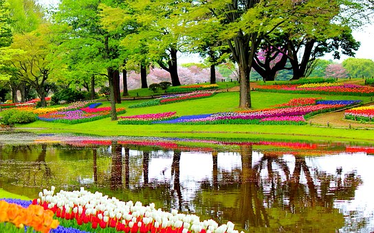 Budget Holiday In Europe - Ultimate In Holidaying Experience