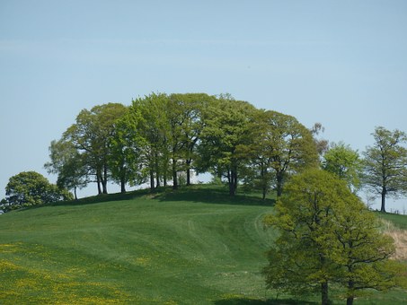 Day Trips And Tours In Holland