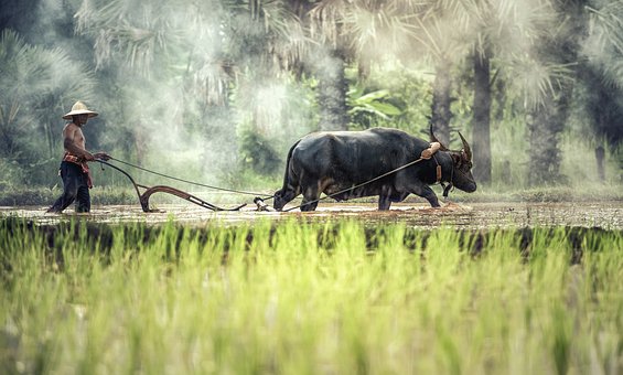 When Your Business Is Slow, How Do You Ride The Tough Times?