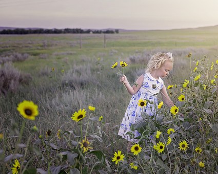Texas Va Loans Described