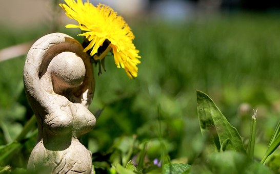 The Necessity Of Custom Application Development For Higher Growth In Business