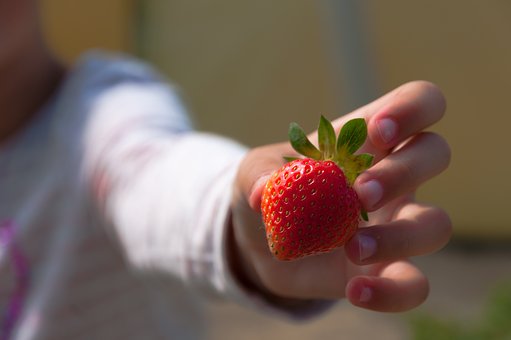 Top 10 Needs of Small Businesses for 2010