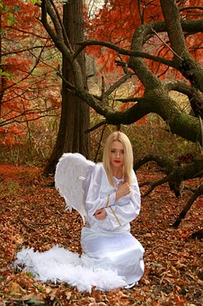 How To Build Your Own Online Insurance Agency ????