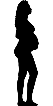Birla Sun Life Insurance Co. Ltd