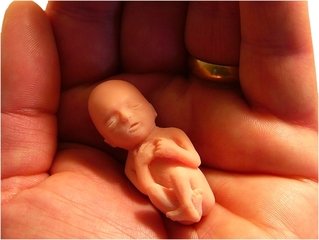 How Much Life Insurance Do You Need