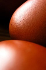 Reading And Understanding Your Life Insurance Policy